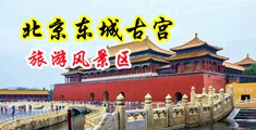 久久艹jj中国北京-东城古宫旅游风景区